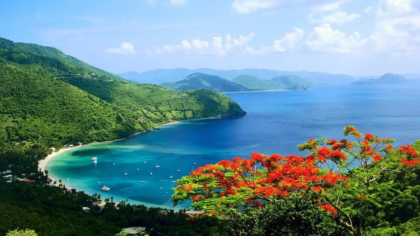 高效智慧可靠性